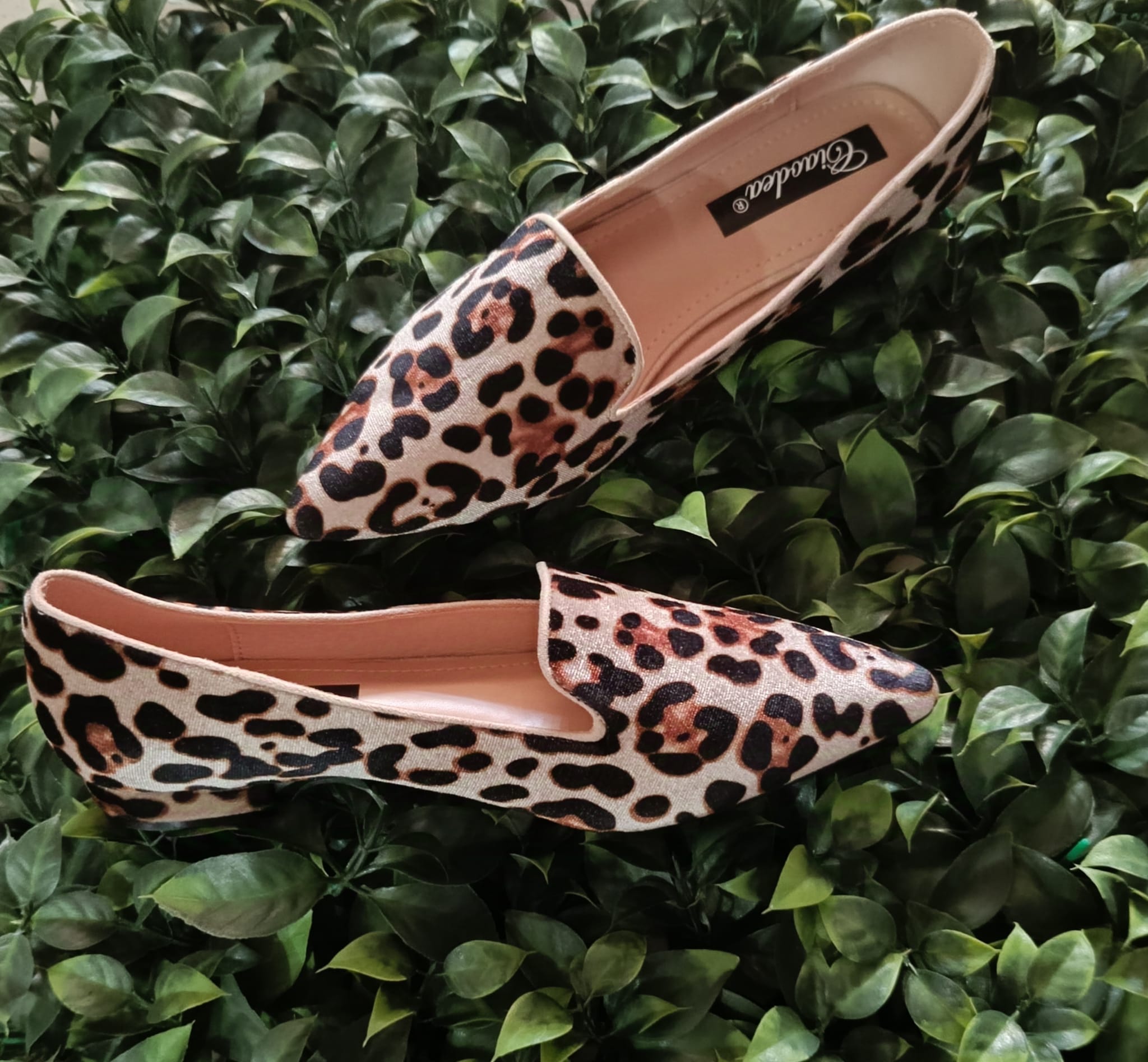 ZAPATO LEOPARDO